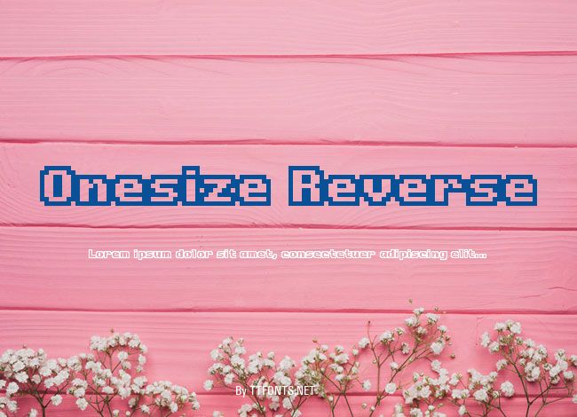 Onesize Reverse example